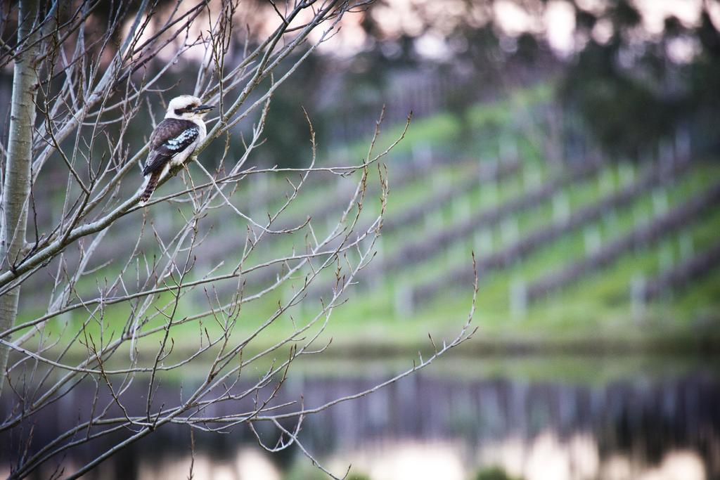 Bettenays Margaret River Metricup Zimmer foto